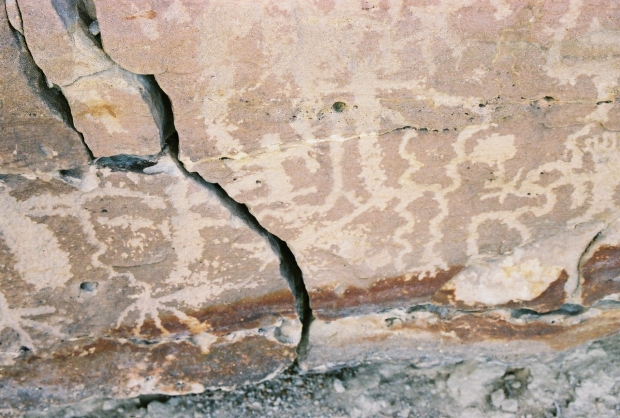 Petroglyphs of Ancient Native American rock graffiti